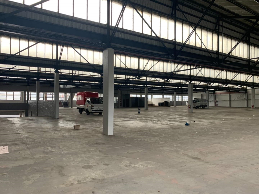 To Let Commercial Property for Rent in Paarden Eiland Western Cape